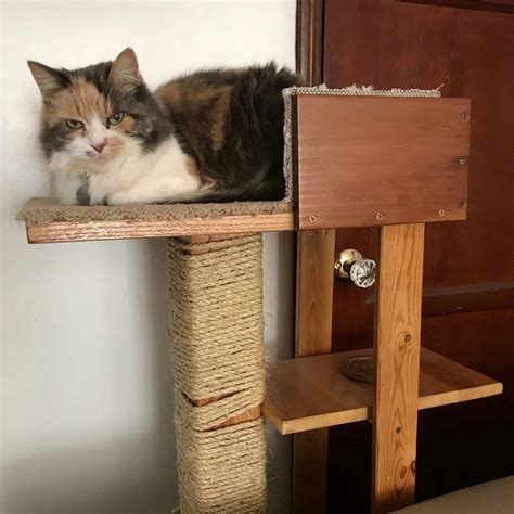 diy cat tree tower